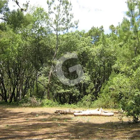 בית נופש Maison Pres De La Plage, 3 Chambres, Terrasse Et Parking A Sur - Fr-1-194-383 לה-טראנש-סור-מר