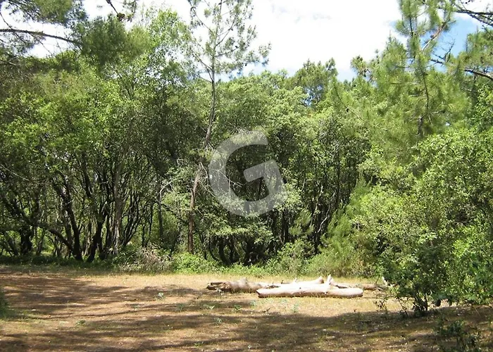 Holiday home Maison Pres De La Plage, 3 Chambres, Terrasse Et Parking A Sur - Fr-1-194-383 La Tranche-sur-Mer